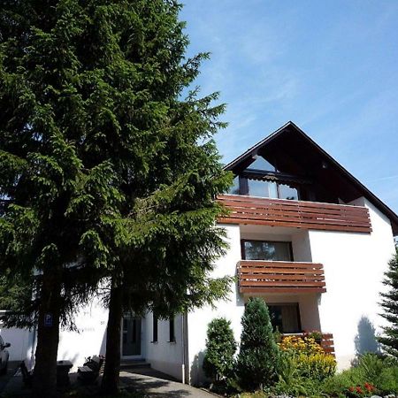 Ferienwohnungen Gerald Reckert Winterberg Exteriér fotografie